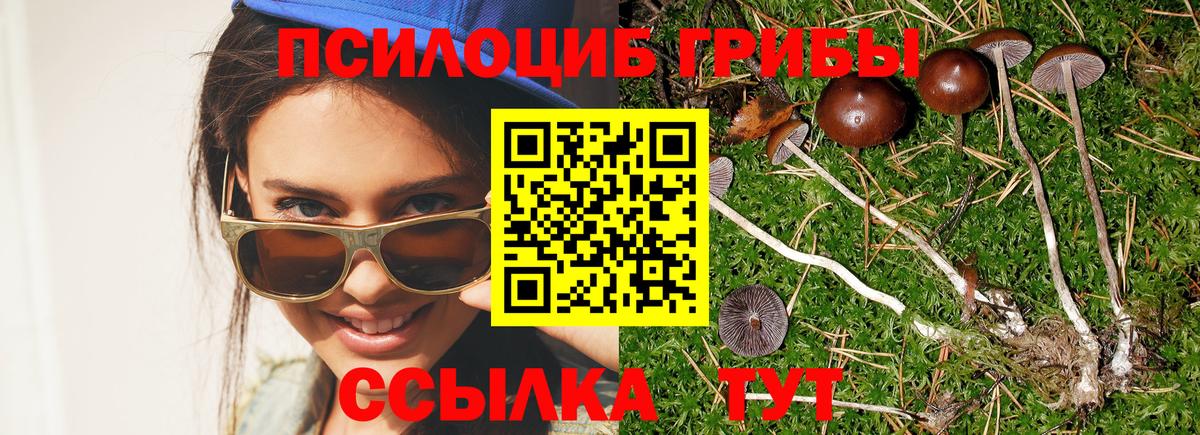 Якутск  Псилоцибиновые грибы мухоморы  Вход с VPN 